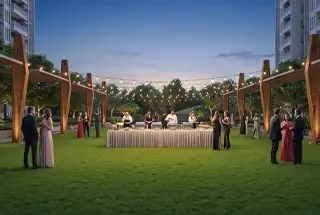 Party Lawn